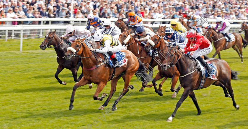 Dakota-Gold-0002 
 DAKOTA GOLD (Connor Beasley) wins The Sky Bet And Symphony Group Handicap
York 21 Aug 2019 - Pic Steven Cargill / Racingfotos.com