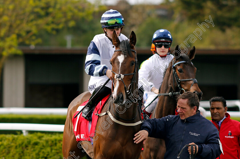 Valsad-0001 
 VALSAD (Saffie Osborne)
Kempton 6 Apr 2024 - Pic Steven Cargill / Racingfotos.com