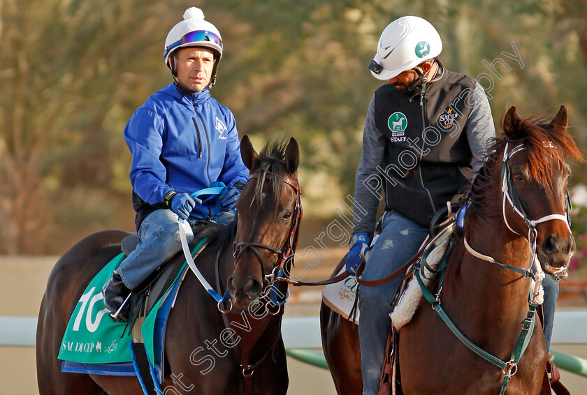 Midnight-Bisou-0003 
 MIDNIGHT BISOU preparing for the Saudi Cup
Riyadh Racecourse, Kingdom of Saudi Arabia 26 Feb 2020 - Pic Steven Cargill / Racingfotos.com