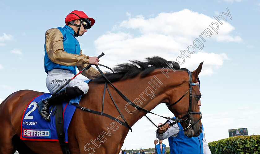 Gregory-0001 
 GREGORY (James Doyle)
Doncaster 13 Sep 2024 - Pic Steven Cargill / Racingfotos.com