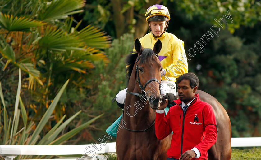 Star-Of-Wells-0002 
 STAR OF WELLS (Tom Marquand)
Kempton 9 Oct 2019 - Pic Steven Cargill / Racingfotos.com