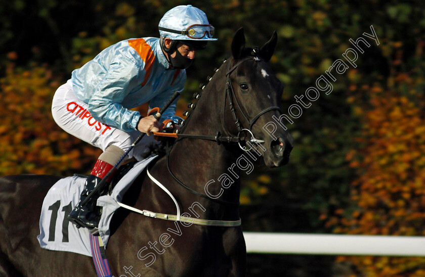 Ventura-Kingdom-0001 
 VENTURA KINGDOM (Franny Norton)
Kempton 11 Nov 2020 - Pic Steven Cargill / Racingfotos.com