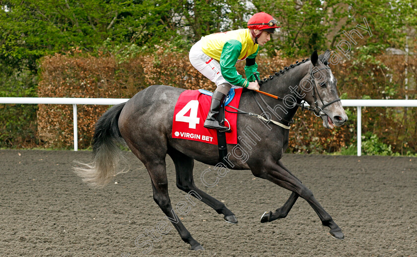 Enola-Grey-0001 
 ENOLA GREY (Rowan Scott)
Kempton 6 Apr 2024 - Pic Steven Cargill / Racingfotos.com