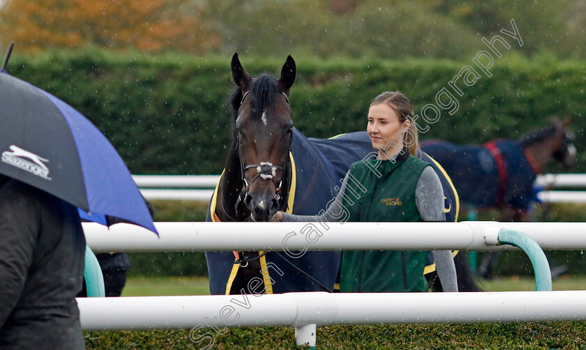 Murphy s-Dream-0007 
 MURPHY'S DREAM
Southwell 4 Oct 2022 - Pic Steven Cargill / Racingfotos.com