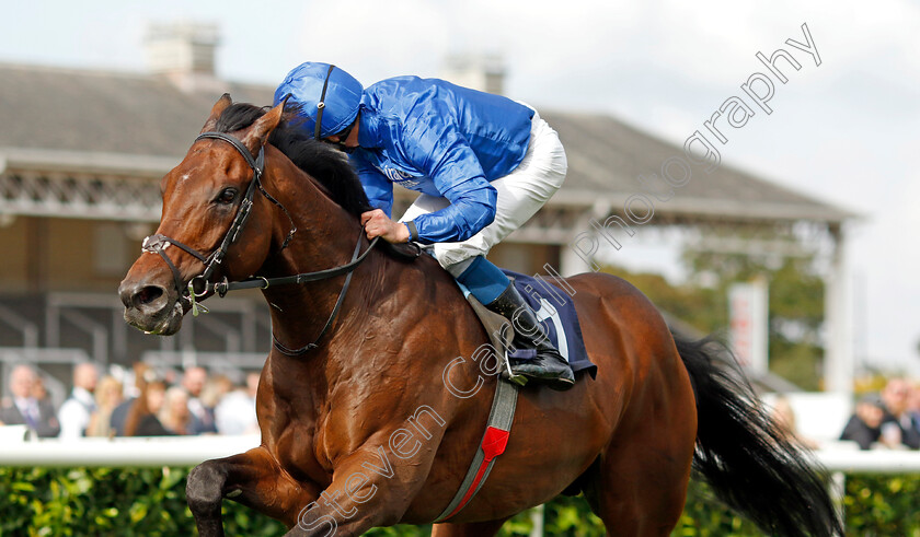 Adayar-0002 
 ADAYAR (William Buick) wins The Hilton Garden Inn Doncaster Conditions Stakes
Doncaster 8 Sep 2022 - Pic Steven Cargill / Racingfotos.com