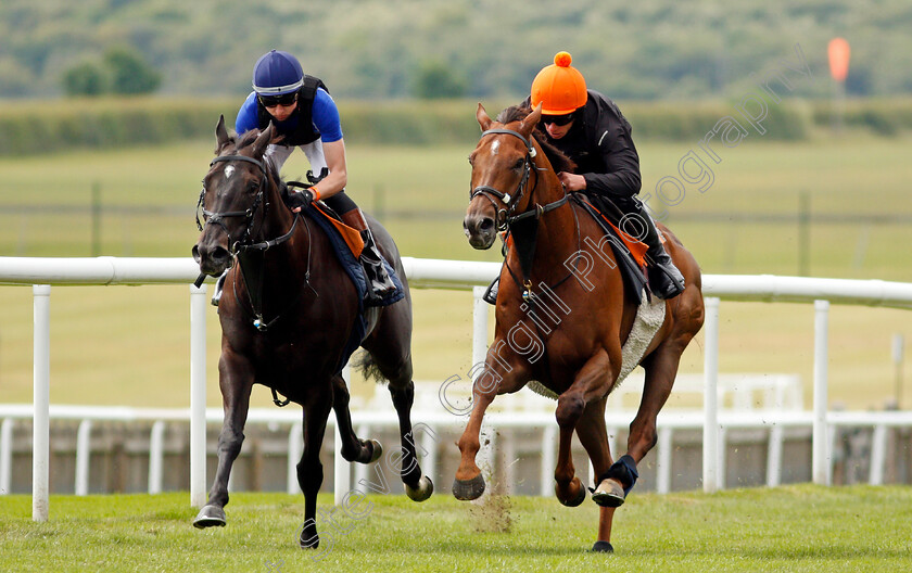 Addeybb-0003 
 ADDEYBB (right, Jason Favell) gallops with IRISH ADMIRAL (left, Adam Farragher) in preparation for next week's Eclipse Stakes
Newmarket 25 Jun 2021 - Pic Steven Cargill / Racingfotos.com