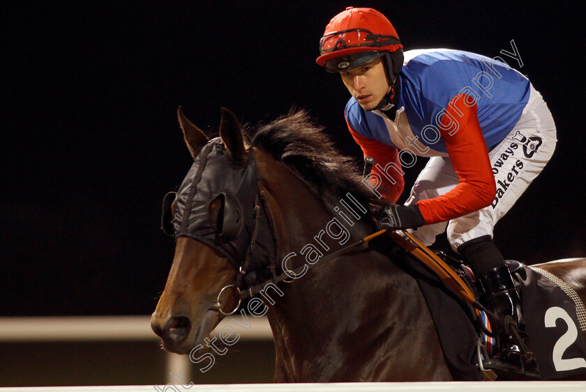 She s-A-Unicorn-0001 
 SHE'S A UNICORN (Richard Kingscote)
Chelmsford 19 Nov 2019 - Pic Steven Cargill / Racingfotos.com