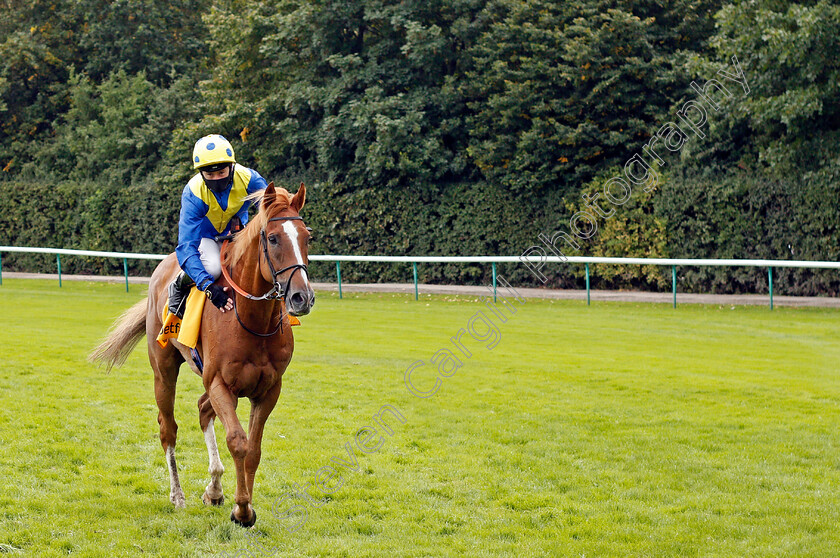 Dream-Of-Dreams-0011 
 DREAM OF DREAMS (Oisin Murphy) after winning The Betfair Sprint Cup
Haydock 5 Sep 2020 - Pic Steven Cargill / Racingfotos.com