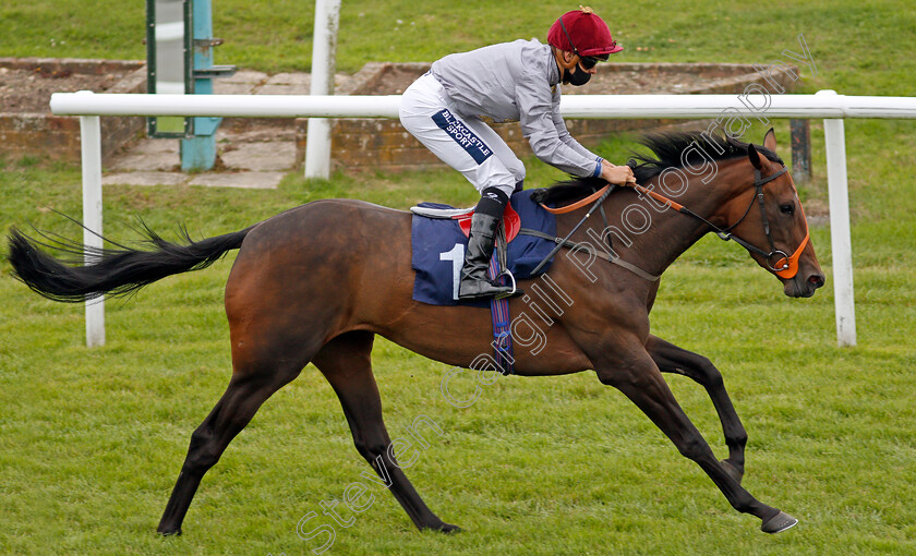 Aljalela-0006 
 ALJALELA (Thore Hammer Hansen) wins The Heed Your Hunch At Betway Handicap
Lingfield 7 Sep 2020 - Pic Steven Cargill / Racingfotos.com