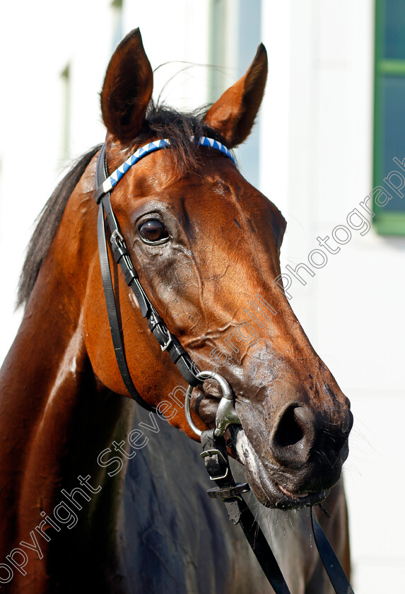 Shaara-0008 
 SHAARA winner of The EBF Stallions John Musker Stakes
Yarmouth 14 Sep 2022 - Pic Steven Cargill / Racingfotos.com