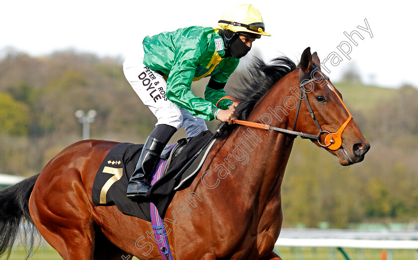 Remedium-0001 
 REMEDIUM (Sean Levey)
Nottingham 17 Apr 2021 - Pic Steven Cargill / Racingfotos.com