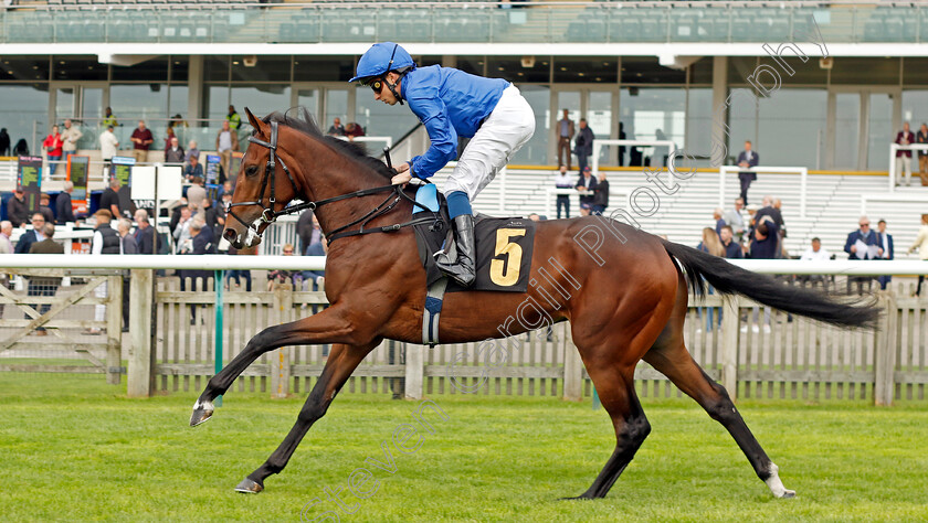 Stormy-Waves-0006 
 STORMY WAVES (William Buick) winner of The Federation Of Bloodstock Agents Nursery
Newmarket 28 Sep 2023 - Pic Steven Cargill / Racingfotos.com