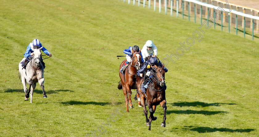 Scentasia-0001 
 SCENTASIA (Robert Havlin) wins The Parklands Leisure Holiday Distributors Handicap
Yarmouth 18 Sep 2019 - Pic Steven Cargill / Racingfotos.com