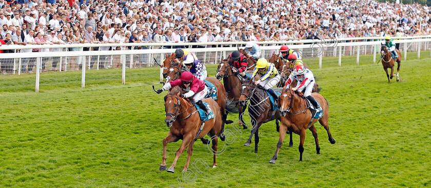 Mostawaa-0006 
 MOSTAWAA (Hollie Doyle) wins The Ice Co Supporting Macmillan Handicap
York 17 Jun 2023 - Pic Steven Cargill / Racingfotos.com