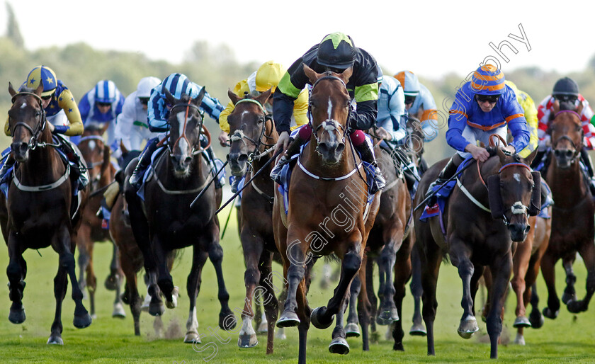 Magical-Zoe-0004 
 MAGICAL ZOE (W J Lee) wins Sky Bet Ebor Handicap
York 24 Aug 2024 - Pic Steven Cargill / Racingfotos.com