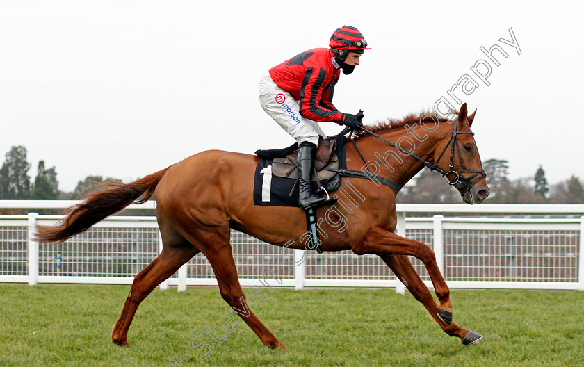 Midnight-River-0001 
 MIDNIGHT RIVER (Harry Skelton) winner of The greatbritishstallionshowcase.co.uk Novices Hurdle
Ascot 20 Feb 2021 - Pic Steven Cargill / Racingfotos.com