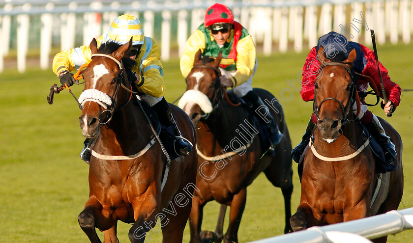 Sandret-0002 
 SANDRET (left, Graham Lee) beats STORTING (right) in The Coopers Marquees Classified Stakes
Doncaster 13 Sep 2019 - Pic Steven Cargill / Racingfotos.com