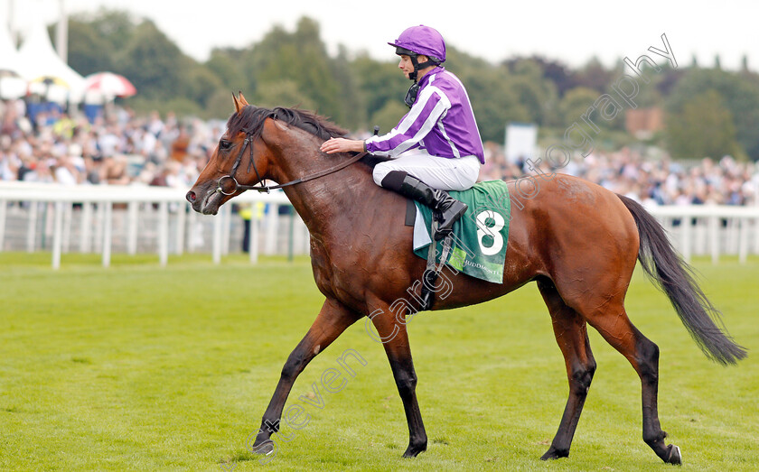 Japan-0012 
 JAPAN (Ryan Moore) after The Juddmonte International Stakes
York 21 Aug 2019 - Pic Steven Cargill / Racingfotos.com