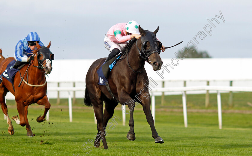 Serendipitous-Lady-0004 
 SERENDIPITOUS LADY (Harry Davies) wins The Download The Brestbet App Nursery
Yarmouth 16 Oct 2023 - Pic Steven Cargill / Racingfotos.com