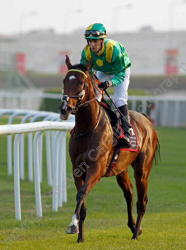 Penja-0003 
 PENJA (Cristian Demuro)
Sakhir Racecourse, Bahrain 19 Nov 2021 - Pic Steven Cargill / Racingfotos.com