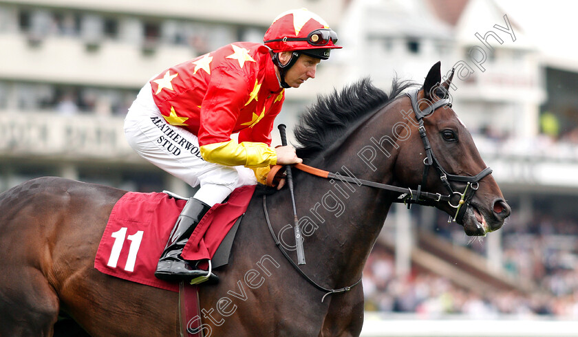 Awe-0002 
 AWE (Martin Dwyer)
Haydock 25 May 2019 - Pic Steven Cargill / Racingfotos.com