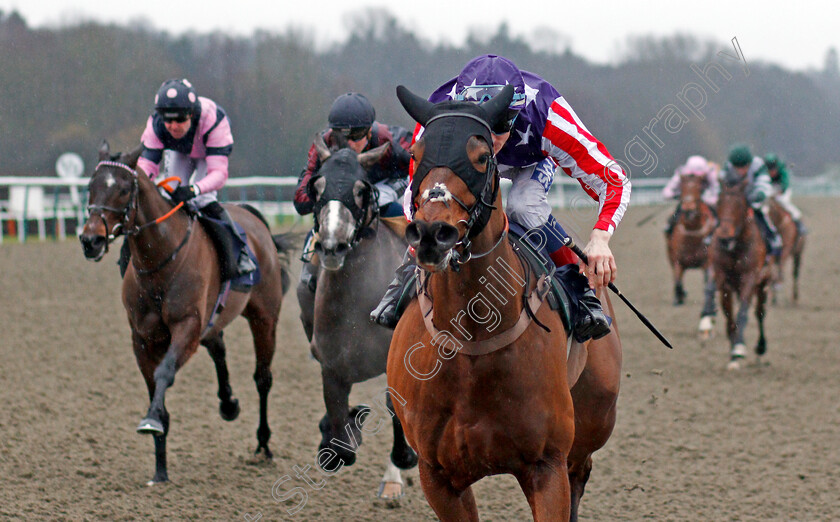 American-Gigolo-0004 
 AMERICAN GIGOLO (Fran Berry) wins The Betway Live Casino Maiden Stakes Lingfield 3 Feb 2018 - Pic Steven Cargill / Racingfotos.com