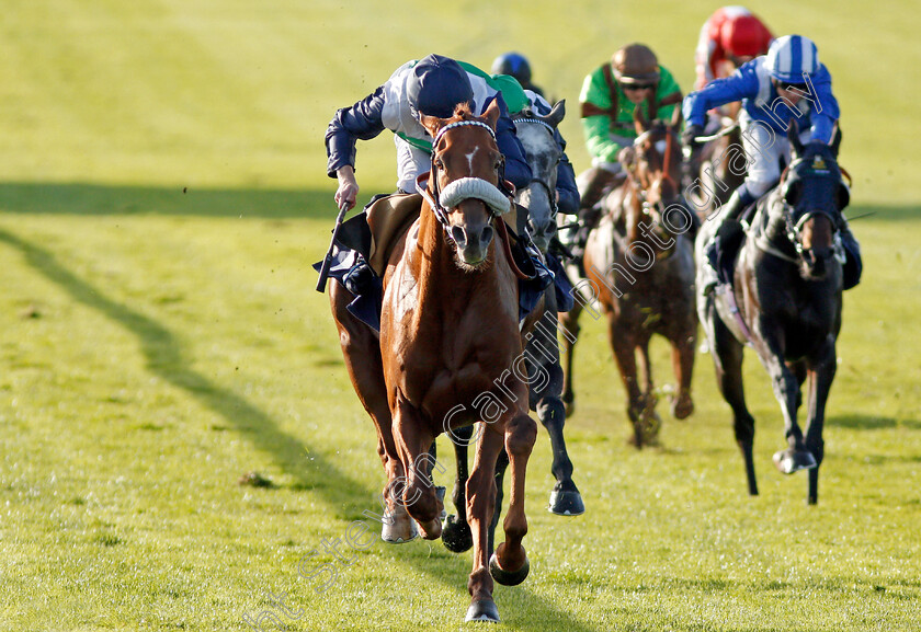 Torcello-0003 
 TORCELLO (Oisin Murphy) wins The Weatherbys General Stud Book Online Handicap Newmarket 28 Sep 2017 - Pic Steven Cargill / Racingfotos.com