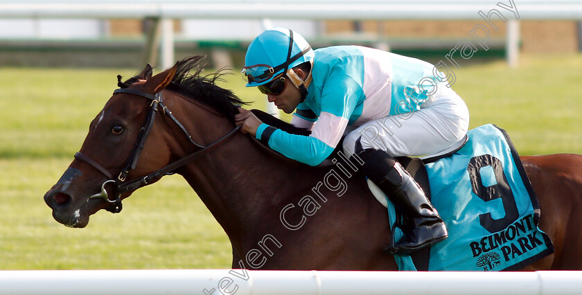 La-Signare-0006 
 LA SIGNARE (Joel Rosario) wins The Wonder Again Stakes 
Belmont Park 7 Jun 2018 - Pic Steven Cargill / Racingfotos.com