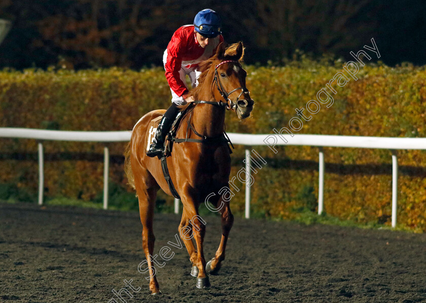 Uplift-0001 
 UPLIFT (Kieran Shoemark)
Kempton 15 Nov 2023 - Pic Steven Cargill / Racingfotos.com