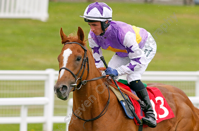 Stanhope-Gardens-0002 
 STANHOPE GARDENS (Rossa Ryan)
Sandown 25 Jul 2024 - Pic Steven Cargill / Racingfotos.com