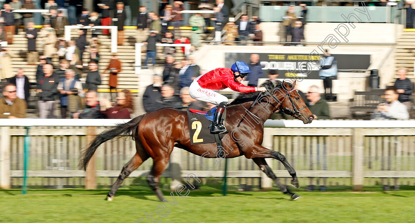 Audience-0005 
 AUDIENCE (Robert Havlin) wins The 888sport British EBF Novice Stakes Div1
Newmarket 29 Oct 2021 - Pic Steven Cargill / Racingfotos.com