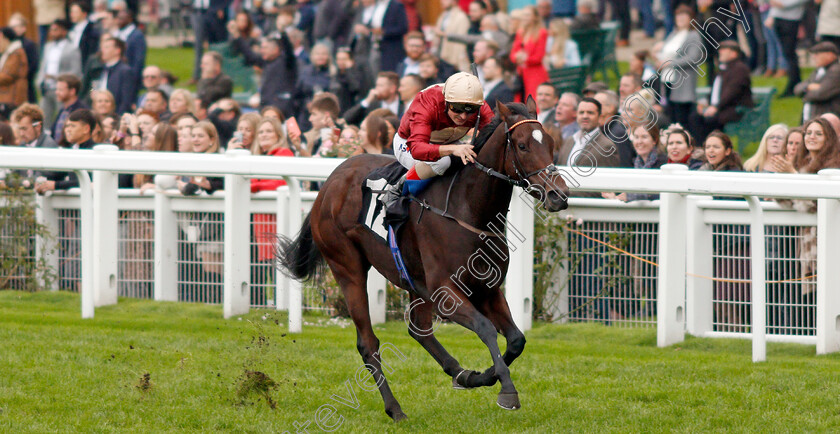 Muchly-0002 
 MUCHLY (Andrea Atzeni)
Ascot 5 Oct 2019 - Pic Steven Cargill / Racingfotos.com