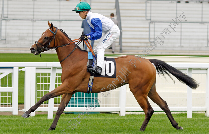 Beauty-By-My-Side-0001 
 BEAUTY BY MY SIDE (Benoit de la Sayette)
Ascot 6 Sep 2024 - Pic Steven Cargill / Racingfotos.com