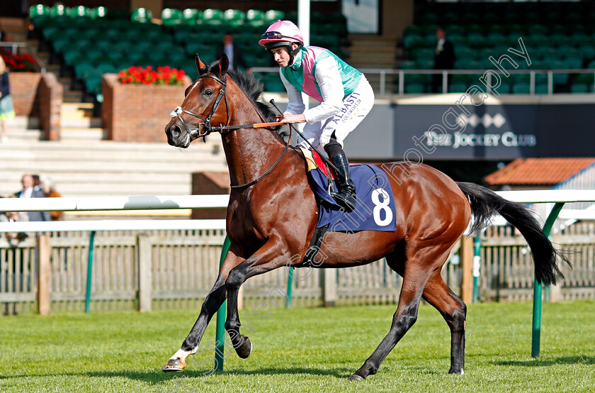 Midi-0002 
 MIDI (Ryan Moore) Newmarket 28 Sep 2017 - Pic Steven Cargill / Racingfotos.com