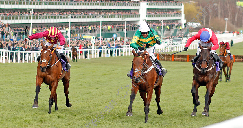 Champ-0002 
 CHAMP (centre, Barry Geraghty) beats MINELLA INDO (left) and ALLAHO (right) in The RSA Insurance Novices Chase
Cheltenham 11 Mar 2020 - Pic Steven Cargill / Racingfotos.com