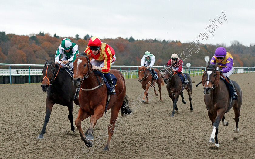 Joegogo-0002 
 JOEGOGO (Fran Berry) beats DOTTED SWISS (left) and INUK (right) in The 32Red Casino Nursery Lingfield 21 Nov 2017 - Pic Steven Cargill / Racingfotos.com