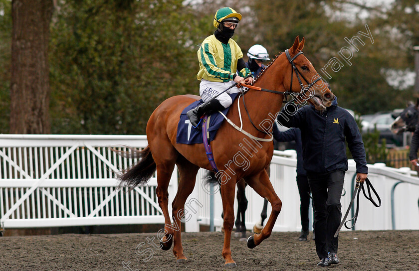 Baileys-Breathless-0001 
 BAILEYS BREATHLESS (Ben Curtis)
Lingfield 26 Mar 2021 - Pic Steven Cargill / Racingfotos.com