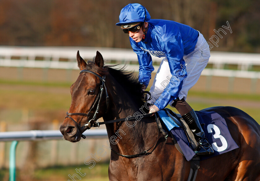 Beauty-Stone-0002 
 BEAUTY STONE (James Doyle)
Lingfield 9 Dec 2019 - Pic Steven Cargill / Racingfotos.com