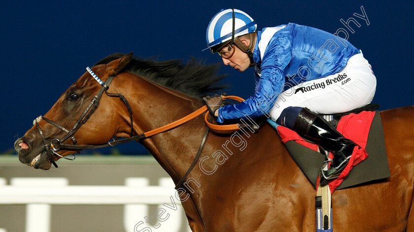 Enjazaat-0005 
 ENJAZAAT (Jim Crowley) wins The ebfstallions.com Conditions Stakes
Kempton 9 Oct 2019 - Pic Steven Cargill / Racingfotos.com