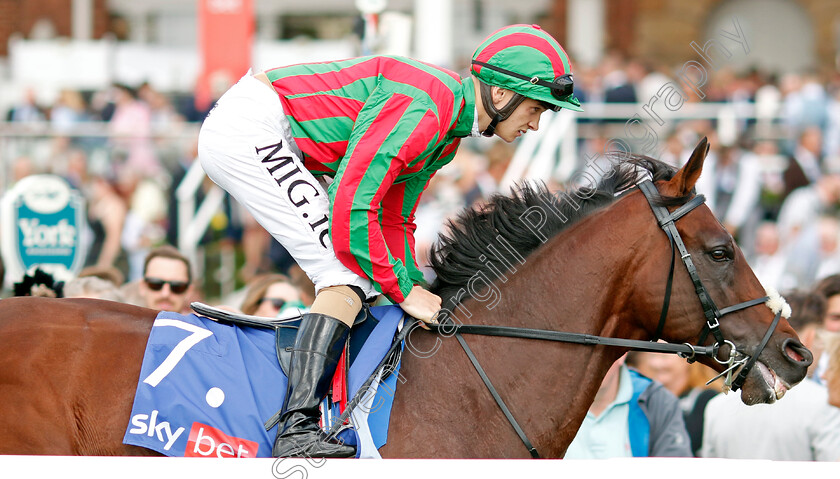 Okita-Soushi-0001 
 OKITA SOUSHI (M P Sheehy)
York 20 Aug 2022 - Pic Steven Cargill / Racingfotos.com