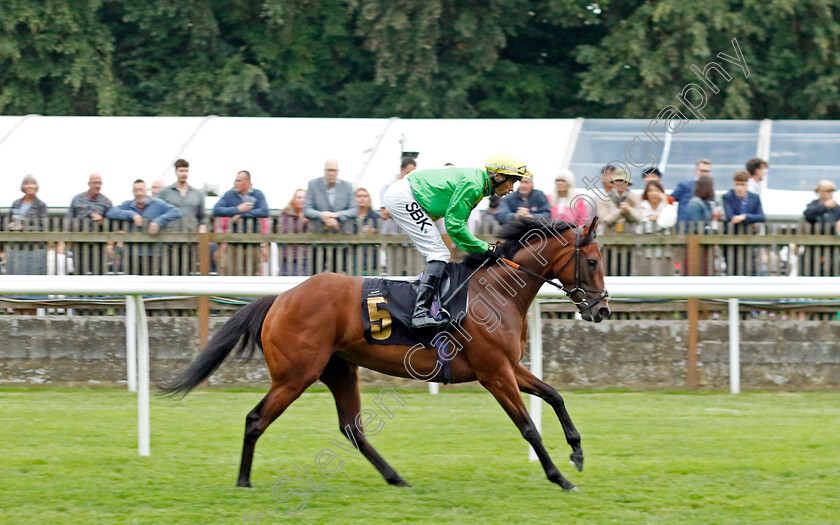 Lulworth-Cove-0001 
 LULWORTH COVE (Sean Levey)
Newmarket 30 Jun 2023 - Pic Steven Cargill / Racingfotos.com