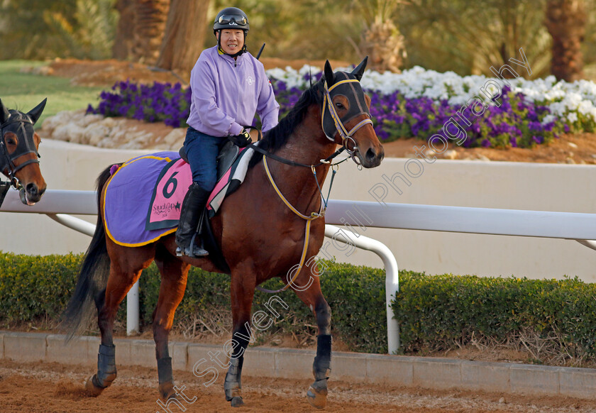 Keiai-Dorie-0001 
 KEIAI DORIE training for The Riyadh Dirt Sprint
King Abdulaziz Racecourse, Saudi Arabia 20 Feb 2024 - Pic Steven Cargill / Racingfotos.com