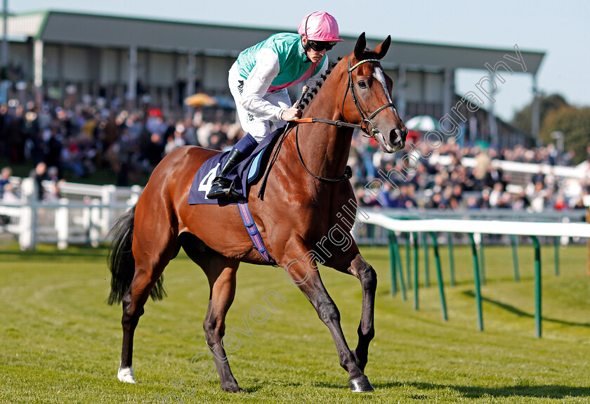 Opinionate-0001 
 OPINIONATE (Jim Crowley) Yarmouth 19 Sep 2017 - Pic Steven Cargill / Racingfotos.com