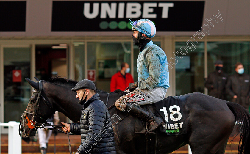 The-Shunter-0011 
 THE SHUNTER after The Unibet Greatwood Hurdle
Cheltenham 15 Nov 2020 - Pic Steven Cargill / Racingfotos.com