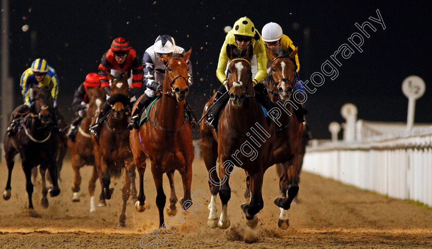 Noble-Expression-0006 
 NOBLE EXPRESSION (Jack Mitchell) wins The Weatherbys General Stud Book Online EBF Novice Stakes Chelmsford 23 Nov 2017 - Pic Steven Cargill / Racingfotos.com