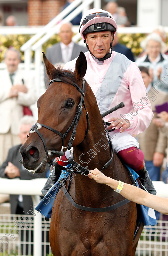 Lah-Ti-Dar-0009 
 LAH TI DAR (Frankie Dettori) after The British EBF & Sir Henry Cecil Galtres Stakes
York 23 Aug 2018 - Pic Steven Cargill / Racingfotos.com