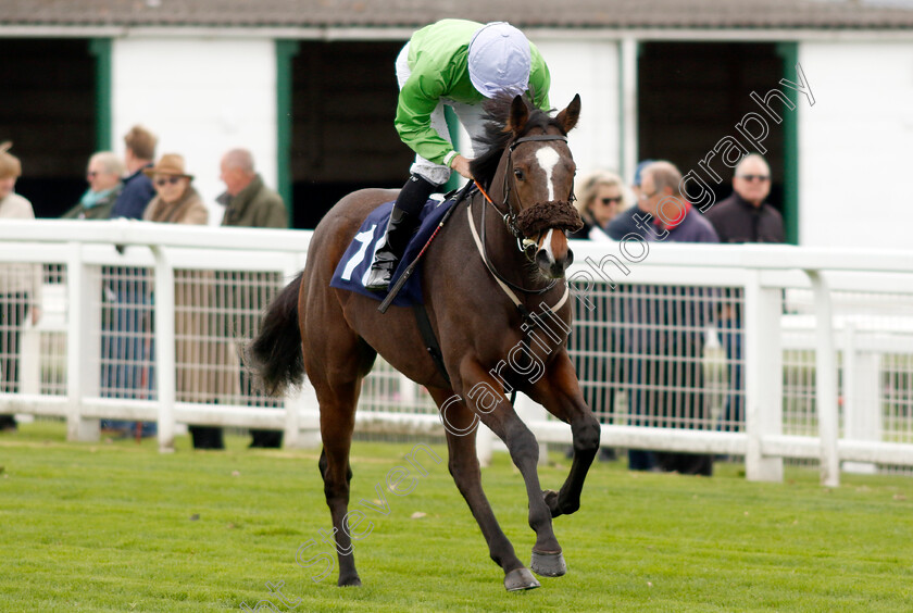 Dire-Wolf-0001 
 DIRE WOLF (Jason Watson)
Yarmouth 16 Oct 2023 - Pic Steven Cargill / Racingfotos.com