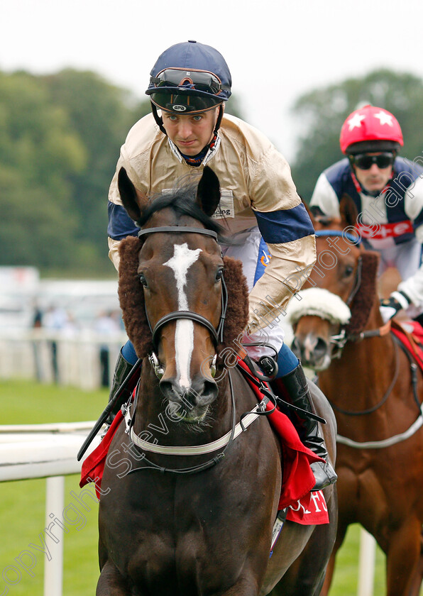 Shaladar-0001 
 SHALADAR (Shane Gray)
York 19 Aug 2021 - Pic Steven Cargill / Racingfotos.com