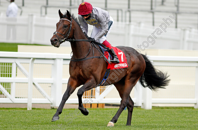 Saeiqa-0001 
 SAEIQA (Frankie Dettori)
Ascot 25 Jul 2020 - Pic Steven Cargill / Racingfotos.com