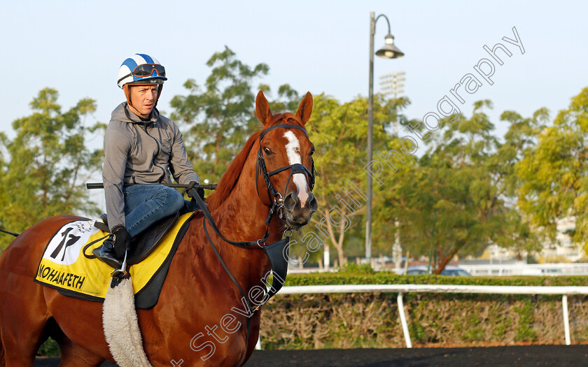 Mohaafeth-0005 
 MOHAAFETH (Jim Crowley) training for The Dubai Turf
Meydan, Dubai, 24 Mar 2022 - Pic Steven Cargill / Racingfotos.com